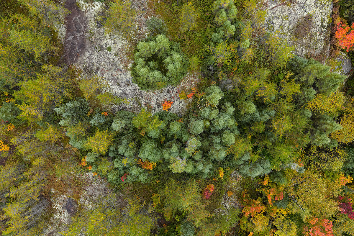 Projet Lehmann Sagalane