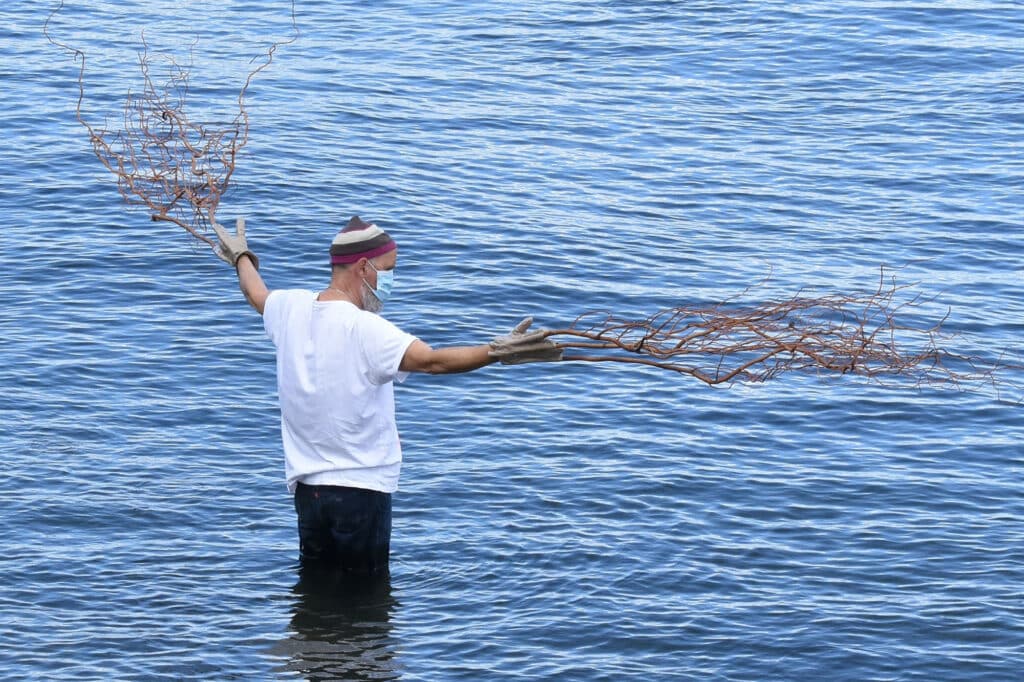 Crédit photo : Serge Marchetta