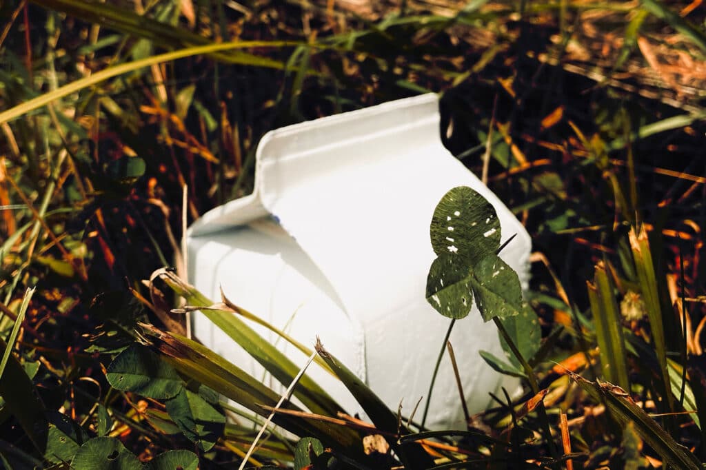 Crédit photo : Émilie Bernard