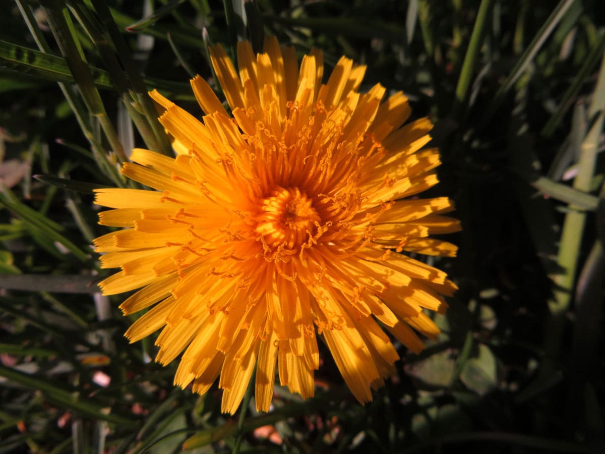 Catherine_Katya_photo_projet-2