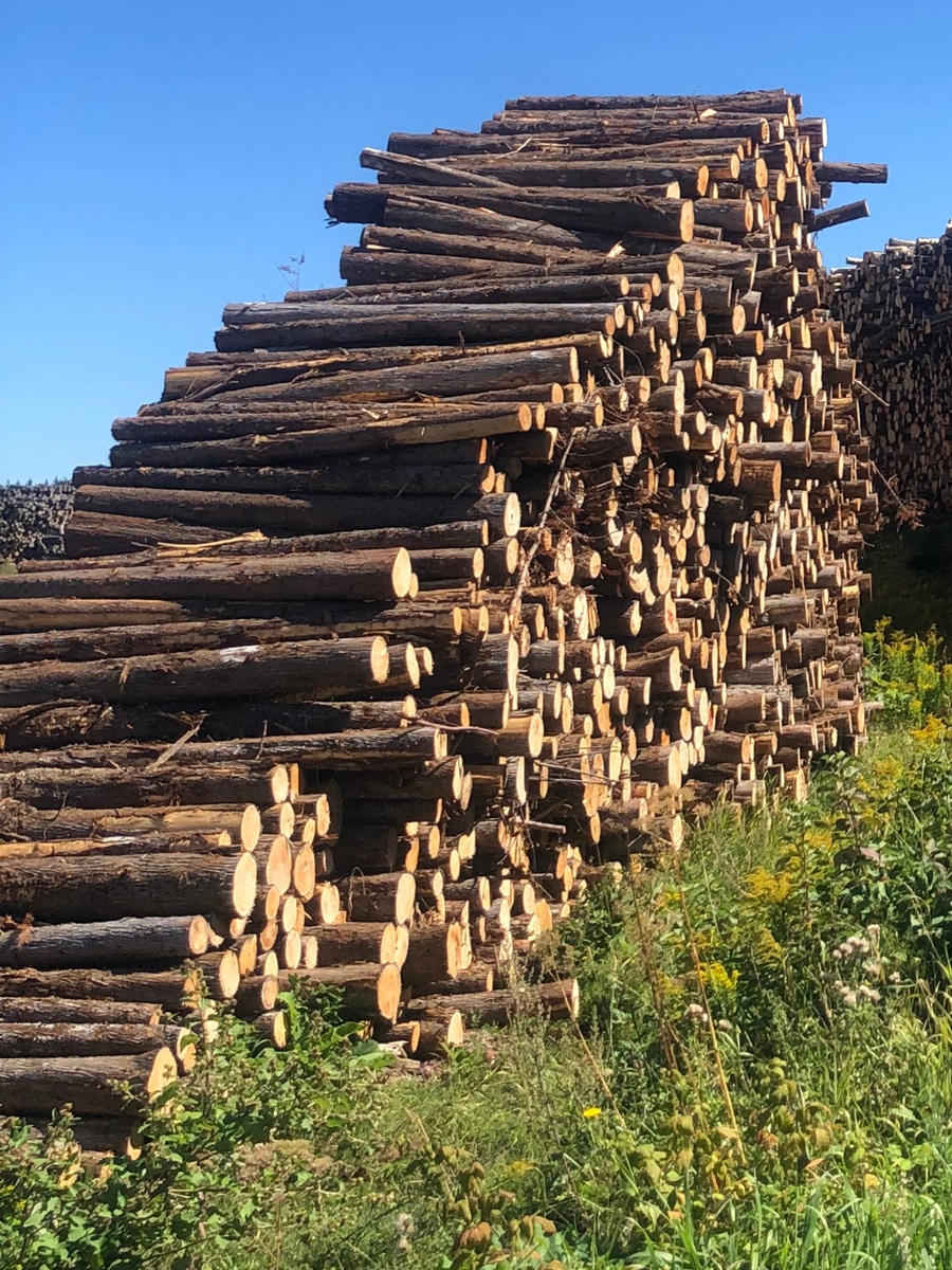 Florence_photo_projet-DAS