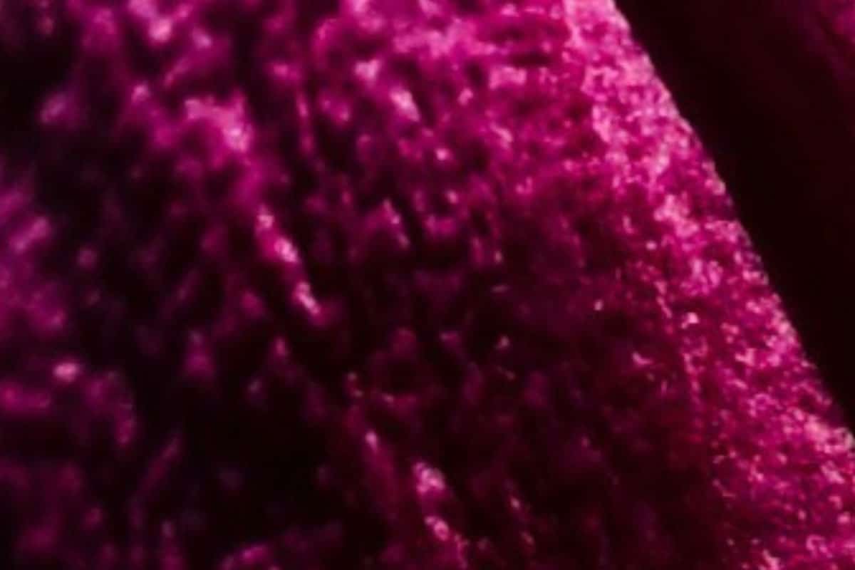 Horizontal_Bloom-residence