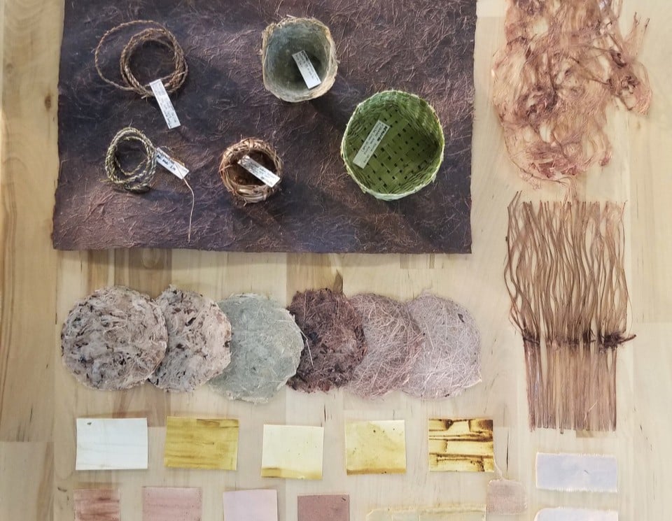 Horizontale_FAUSTINE ESCOFFIER_Photo projet papier-teinture végétale_oct2025