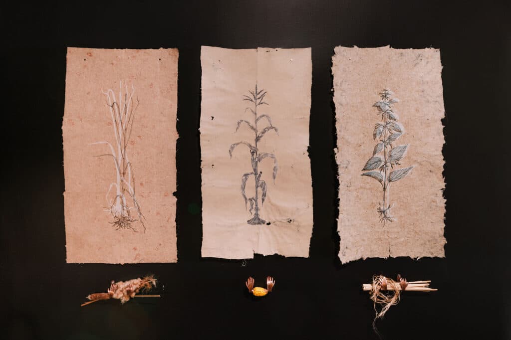 Crédit photo : Jean-Michel Naud