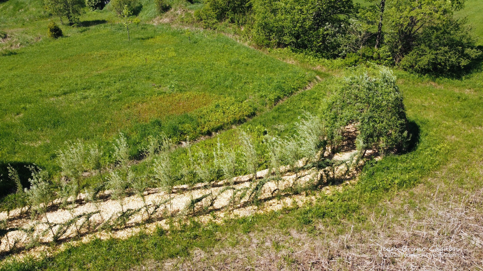 Le Cocon Vendredi Treize