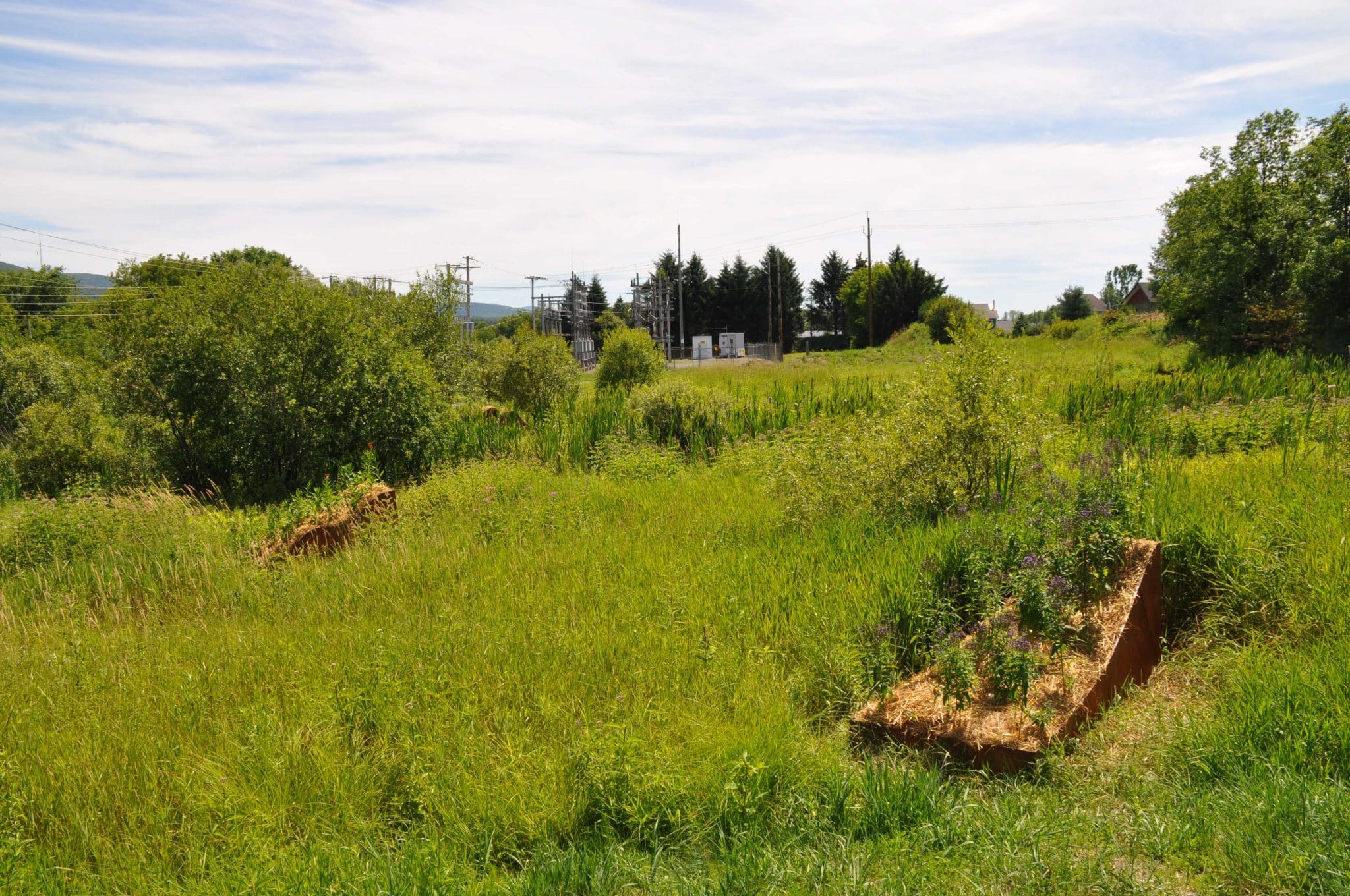 La traversée des indigènes