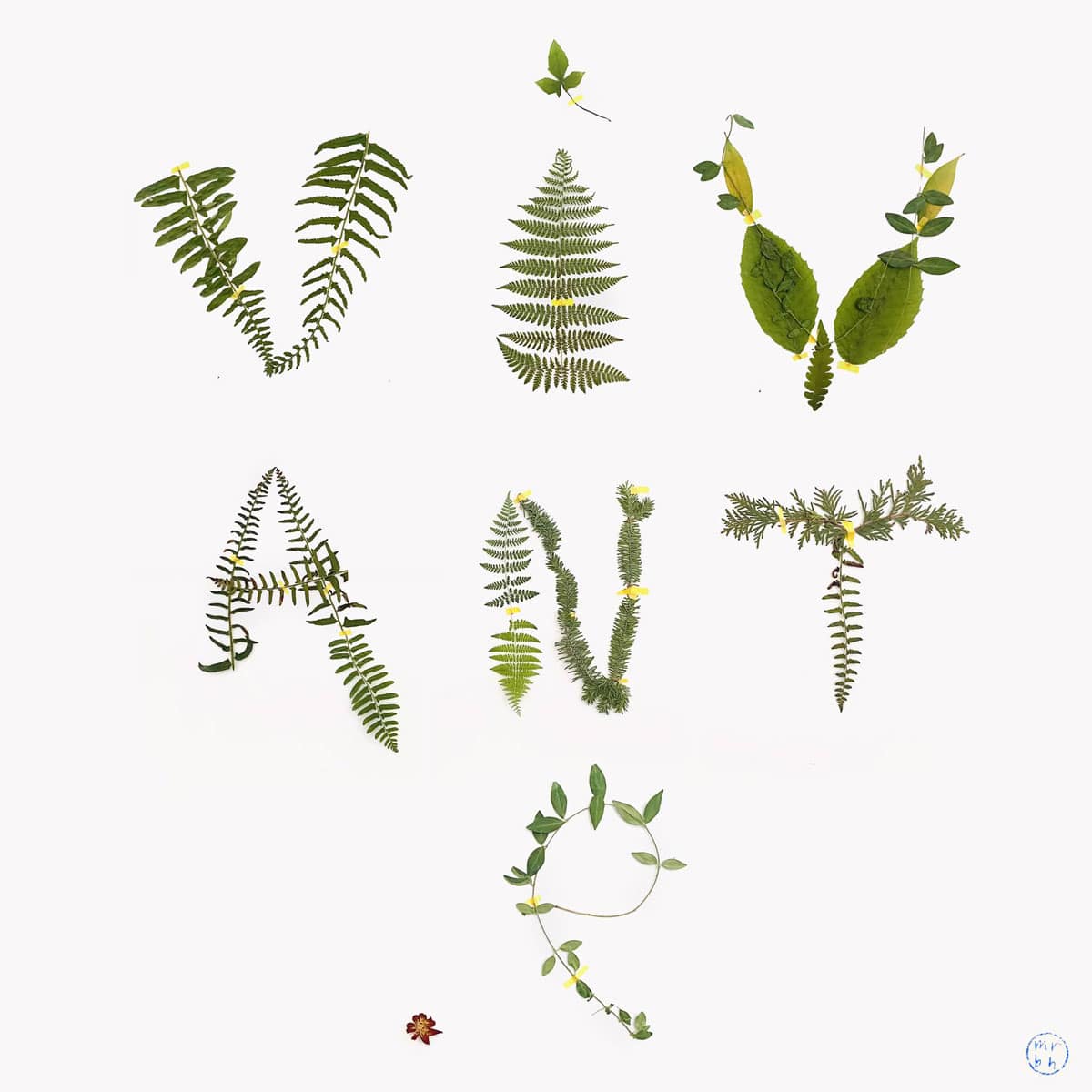 marie-renee_bourget_harvey_photo-projet