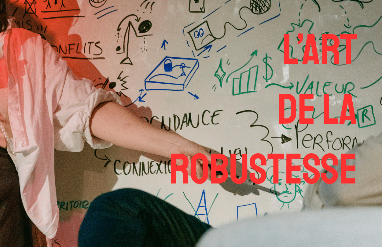 LArtdelaRobustesse_ImageProjet_EmilieDumais