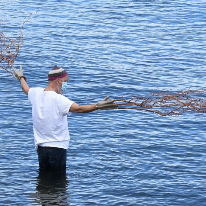 Crédit photo : Serge Marchetta