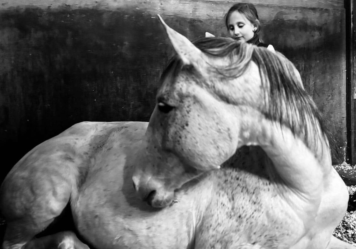 ANIMAL - Théâtre