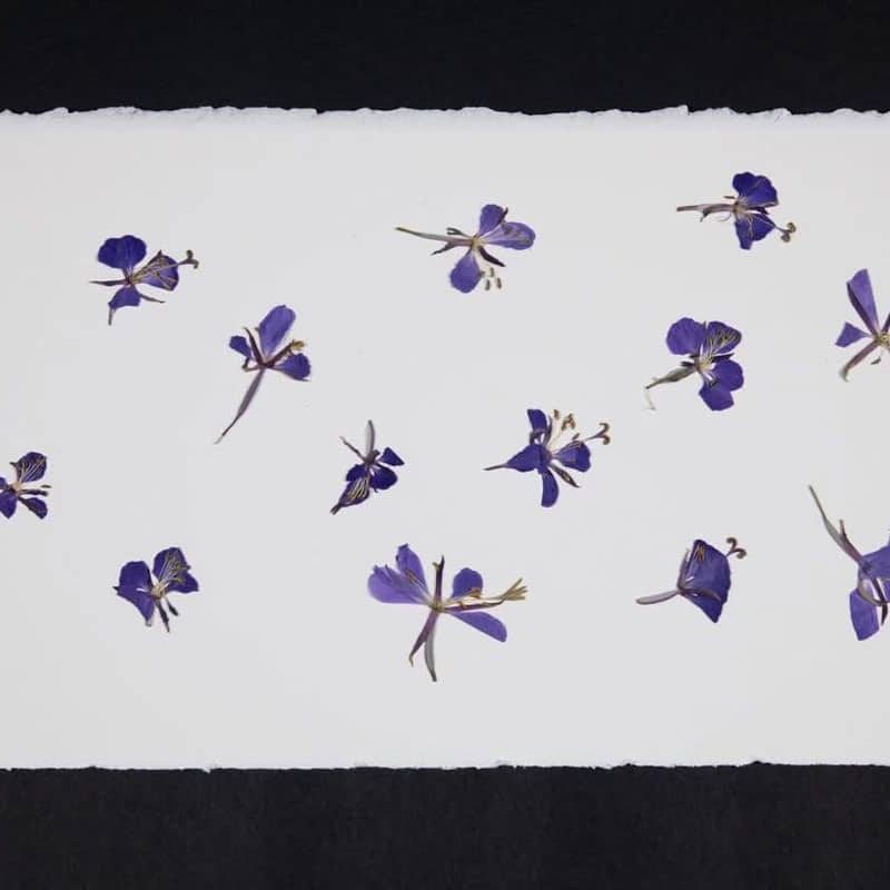 Banquets-fleurs-credit