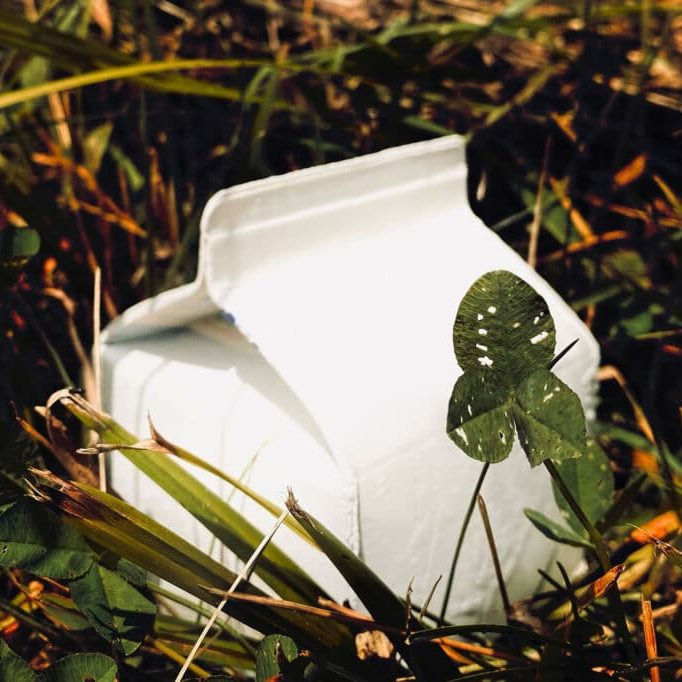 Crédit photo : Émilie Bernard