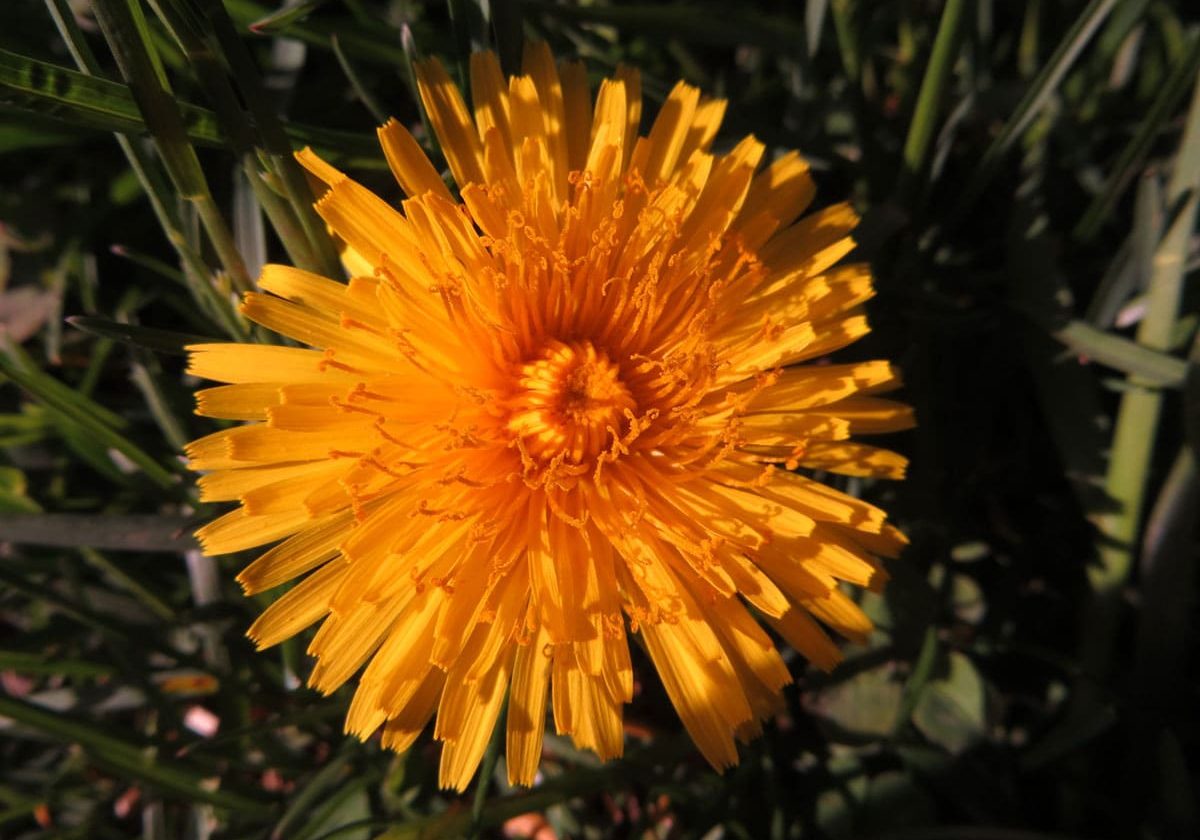 Catherine_Katya_photo_projet-2