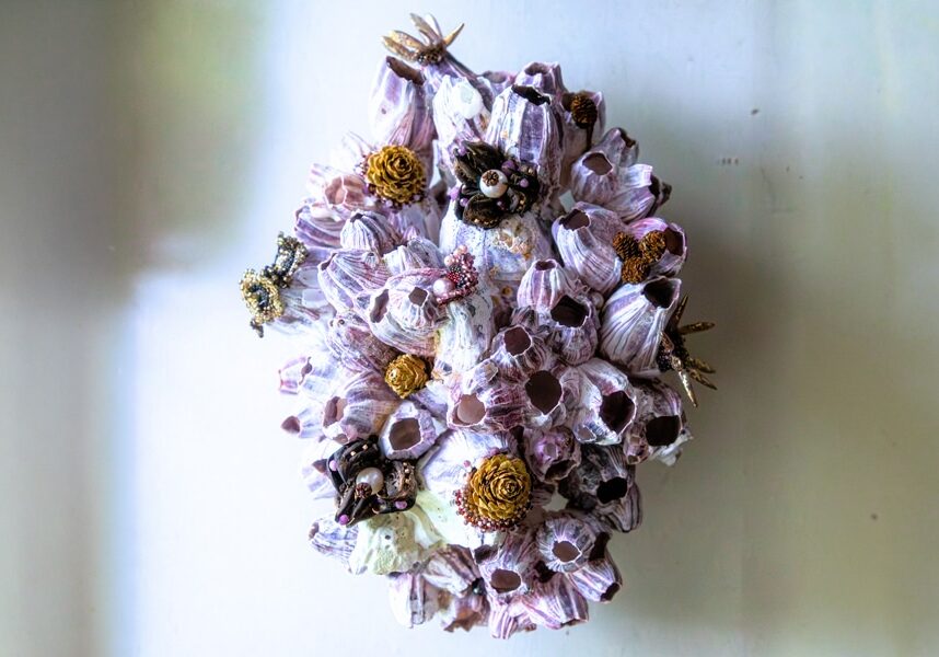 Design-Audree-Wilhelmy