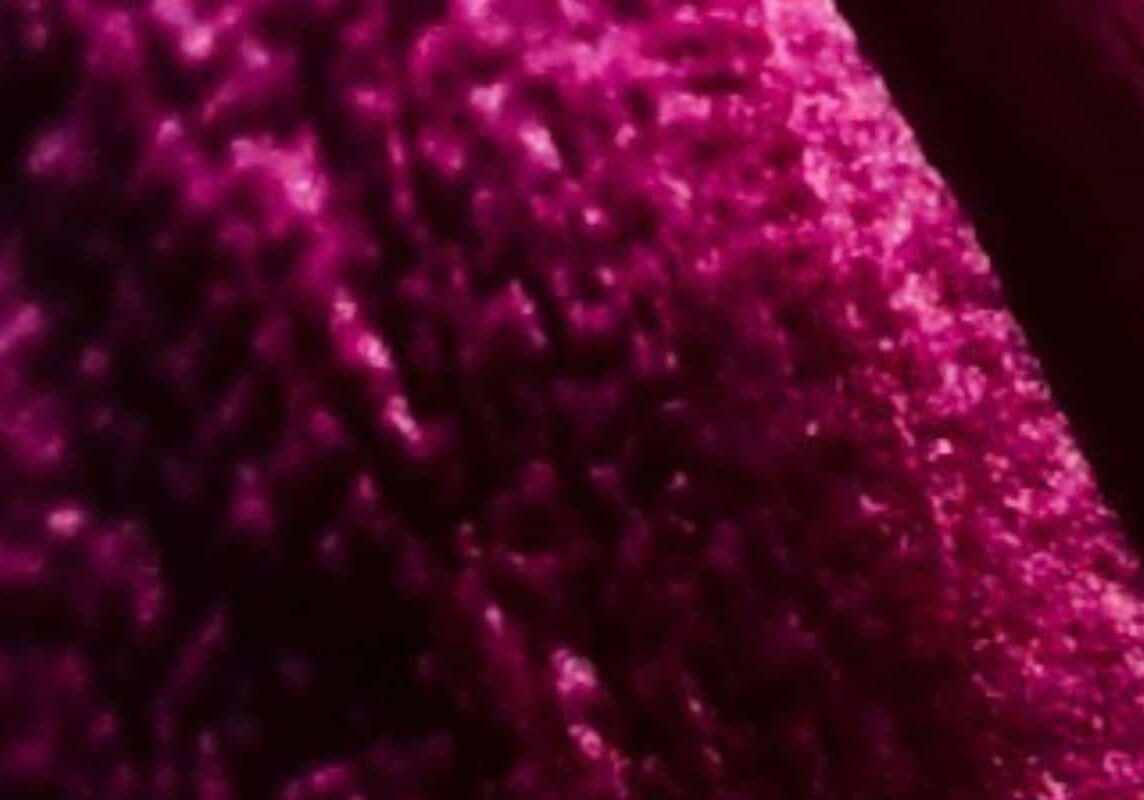 Horizontal_Bloom-residence