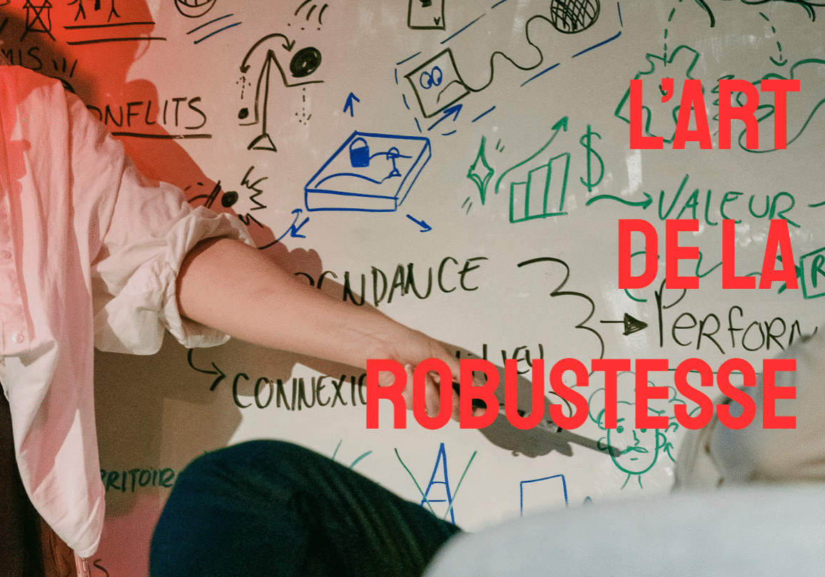 LArtdelaRobustesse_ImageProjet_EmilieDumais