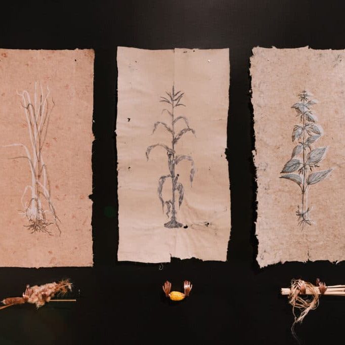 Crédit photo : Jean-Michel Naud