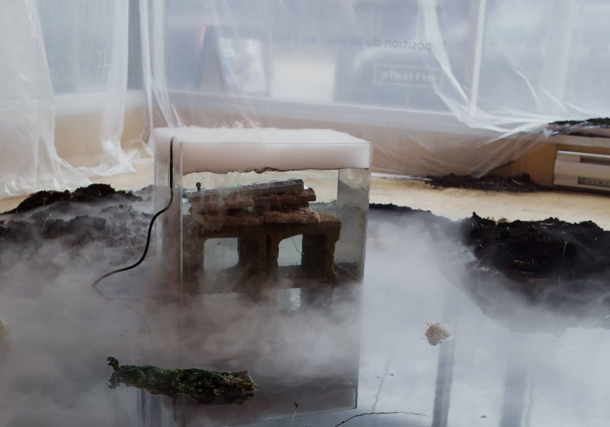 Fenyx Florentiny et Antoine Caron