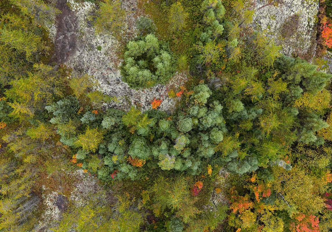 Projet Lehmann Sagalane