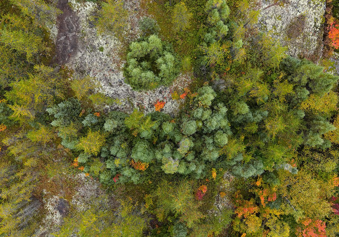 Projet Lehmann Sagalane